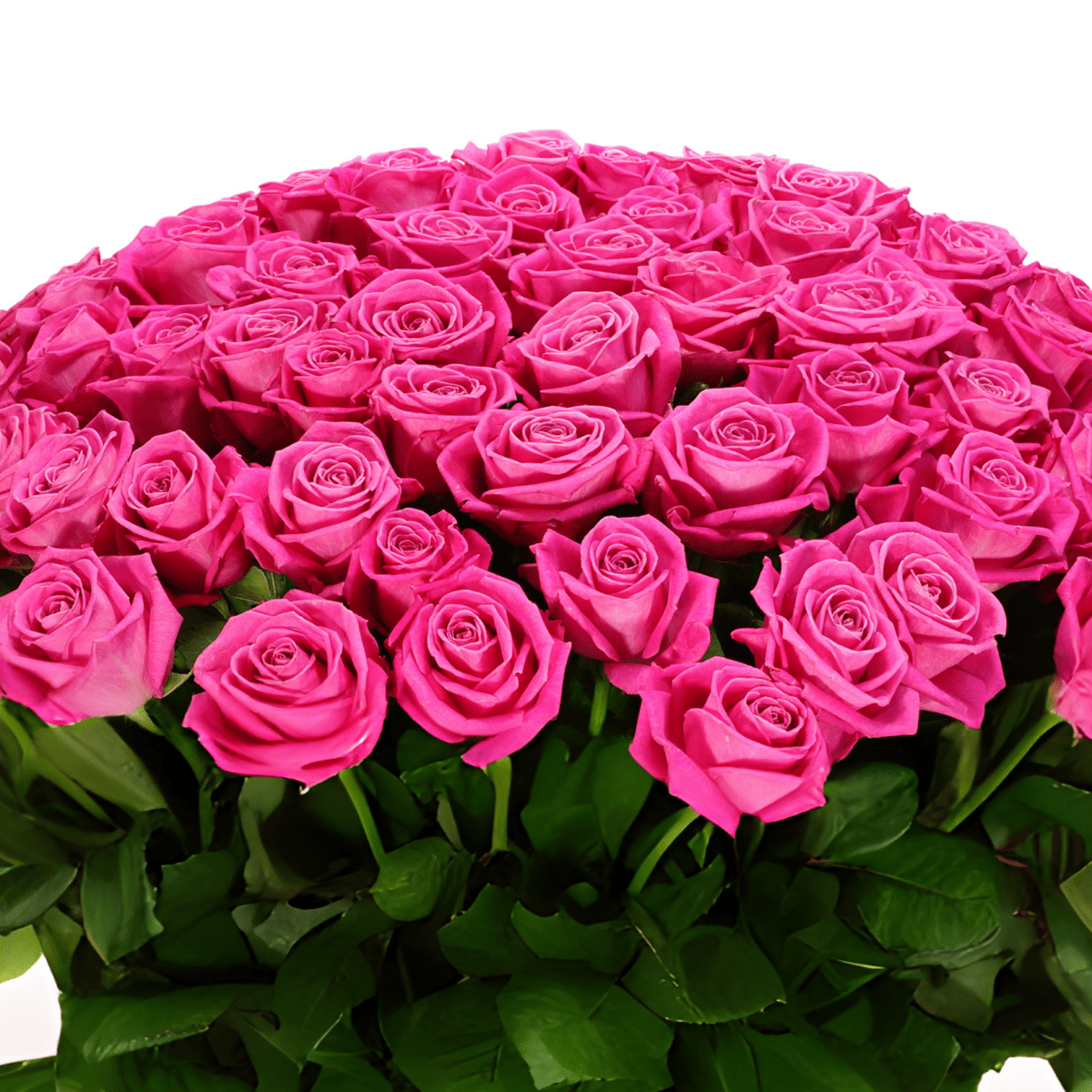 100 Premium Long Stem Hot Pink Roses Flower Bouquet - My Queen