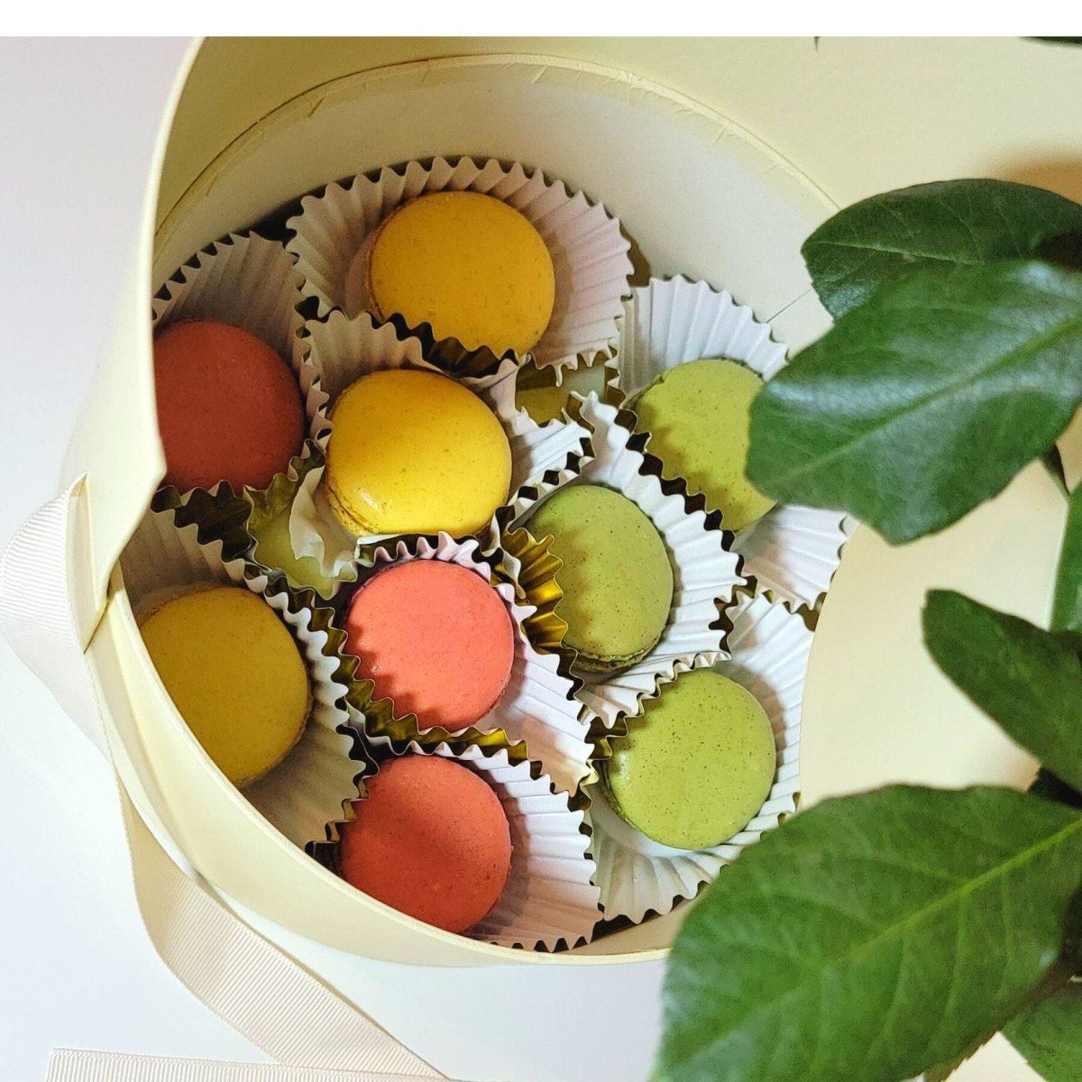 Hello Gorgeous, Queen! | Surprise flower box with french macaroons - My Queen
