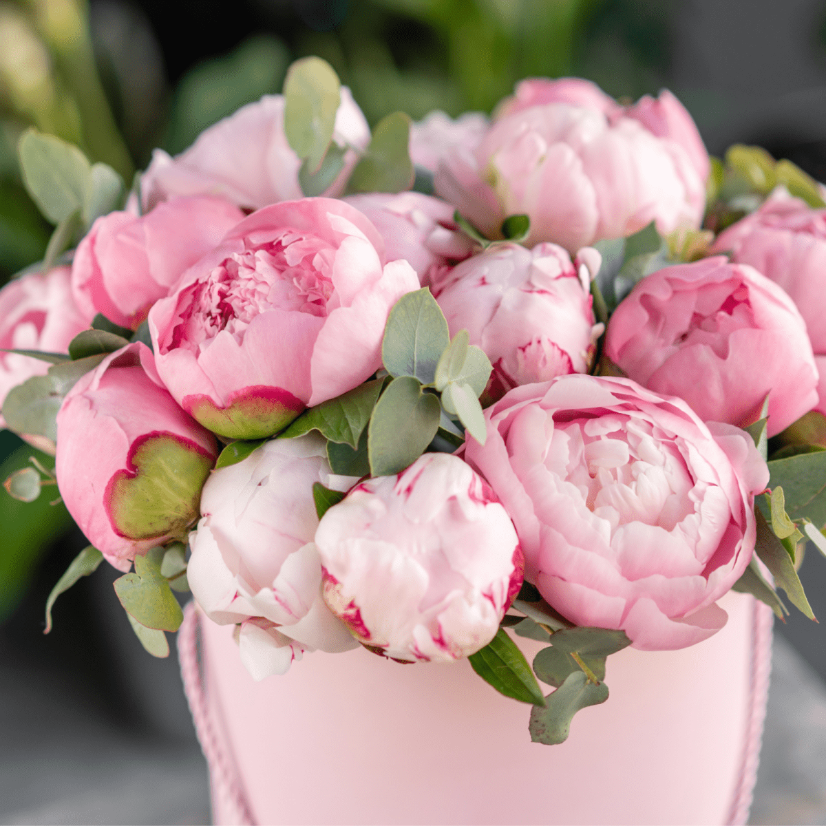 Peonies Flower Box "Royal Pink" - My Queen