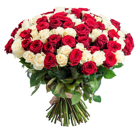 100 Premium Long Stem Red&White Roses Flower Bouquet