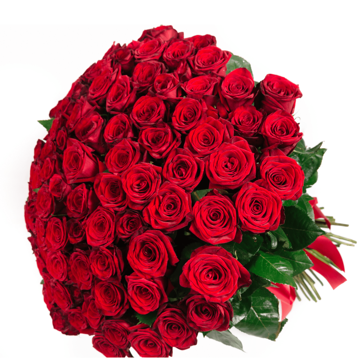 100 Premium Long Stem Red Roses Flower Bouquet - My Queen