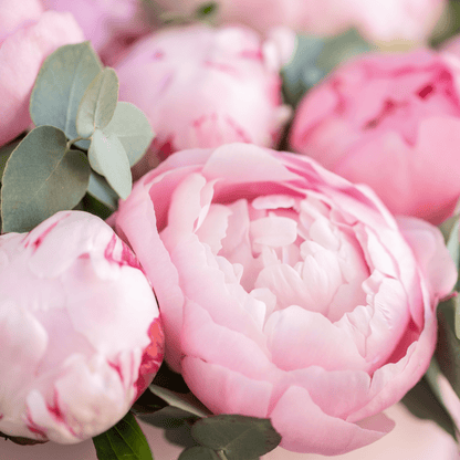Peonies bouquet "Blush Majesty Bouquet" from 10 - 100 pcs - My Queen